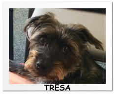TRESA