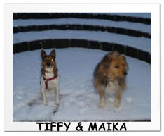 TIFFY & MAIKA