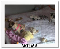WILMA