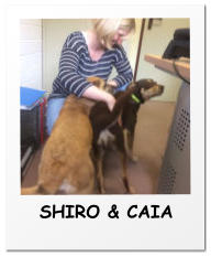 SHIRO & CAIA
