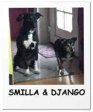 SMILLA & DJANGO