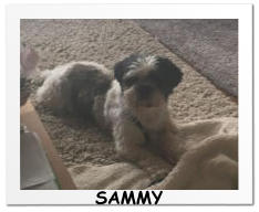 SAMMY