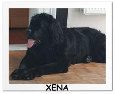 XENA